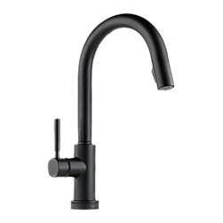One Touch and Hands Free Faucets - Kitchen Faucets