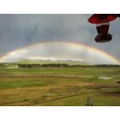 Molly Kanthack's photo