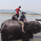 Judy Johnson's photo