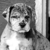 Sylvia Frank's photo