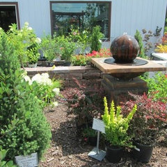 Landscape Techniques LLC