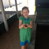 Scott Bolz's photo
