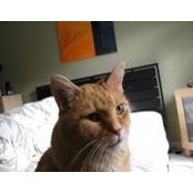Yvonne Lulala's photo