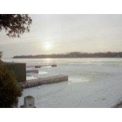 Catherine Schafer's photo