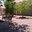 Integrity Landscaping