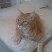 Gail Akins's photo