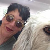 Lisa Muzik's photo