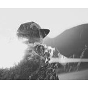 Ian Walser's photo
