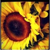 Kara Kelley's photo