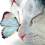 Renee Nickols's photo