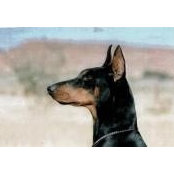 Donna Horton's photo