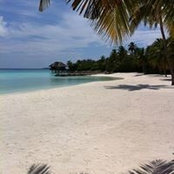 Khalid Alhumaidi's photo