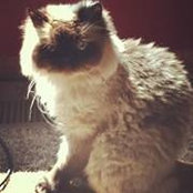Joni Freye's photo