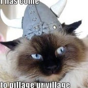 Alexis Jonneson's photo