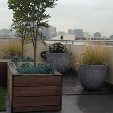 Front Patio