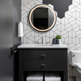 https://www.houzz.com/photos/boldly-black-and-white-contemporary-bathroom-phvw-vp~167434118