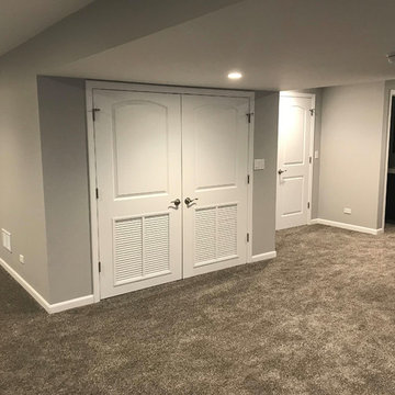 Elgin Basement Remodel