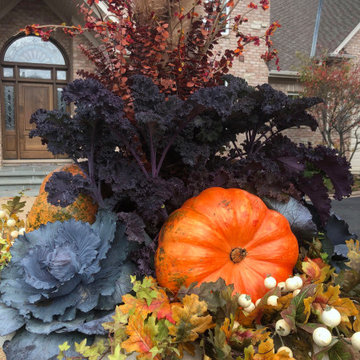 Fabulous Containers, Planters and Urns