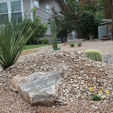 Cacti Paradise