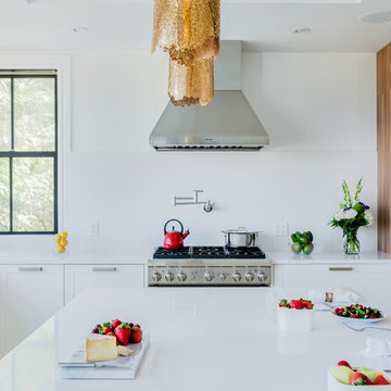 Newton Victorian with Modern Twist
