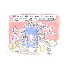 Cats