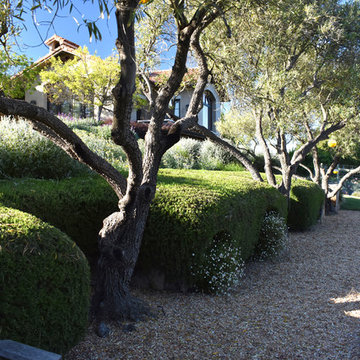 Campbell Creek Estate