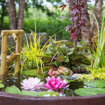 Patio Ponds