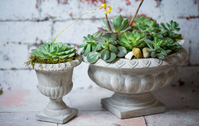 DIY : Un jardin miniature de succulentes