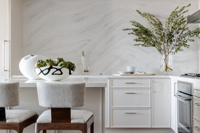 Kitchen - contemporary kitchen idea in Boston