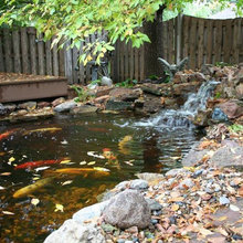 water garden
