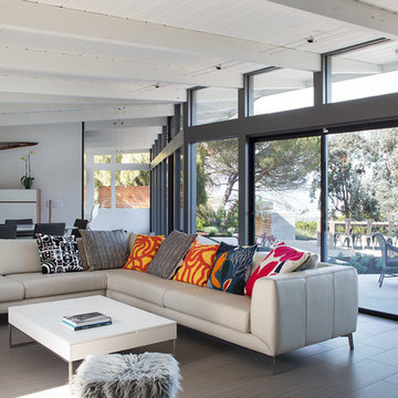 Midcentury Modern View Home Remodel