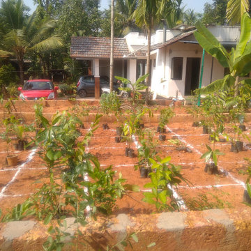 Miyawaki Forest Experts in Kerala | India | Nellickal Nursery | Anish Nellickal