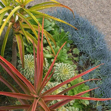 Plantings