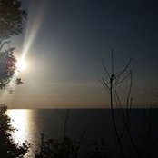 Heidi Barnett's photo