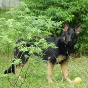 Foto de Barb Logan
