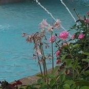 Marilyn Swisher's photo