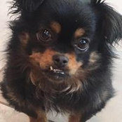 Beth Brigham's photo