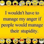 Stepf Wolf's photo