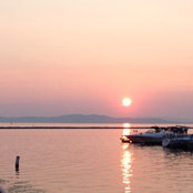Alison Jette's photo