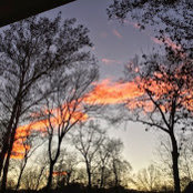 Roseann Kennedy's photo