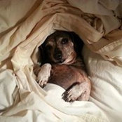 Tammy Buehrle's photo