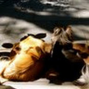 Foto von Jane Moore