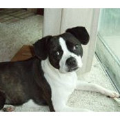 Emily Wydra's photo