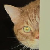 Jackie Greene's photo