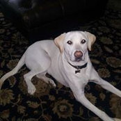 Tammy Johnston's photo