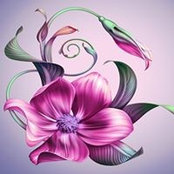 Penny Scott's photo