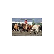 Paula Contreras's photo