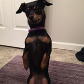 Melissa Koch's photo