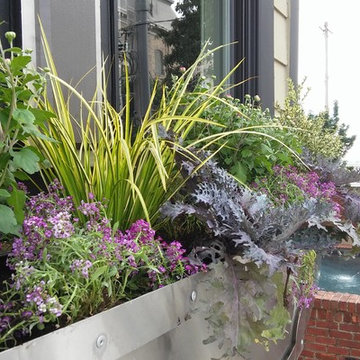 Planters & Window Boxes