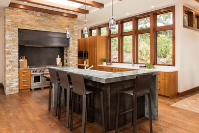 Example of a minimalist kitchen design in San Diego